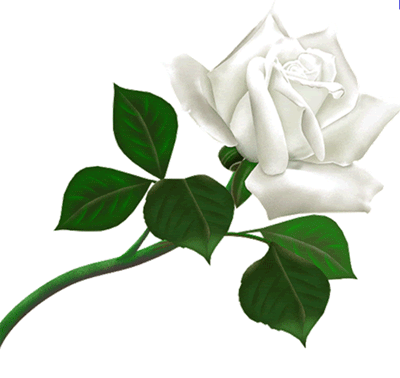 Manish Tewatia